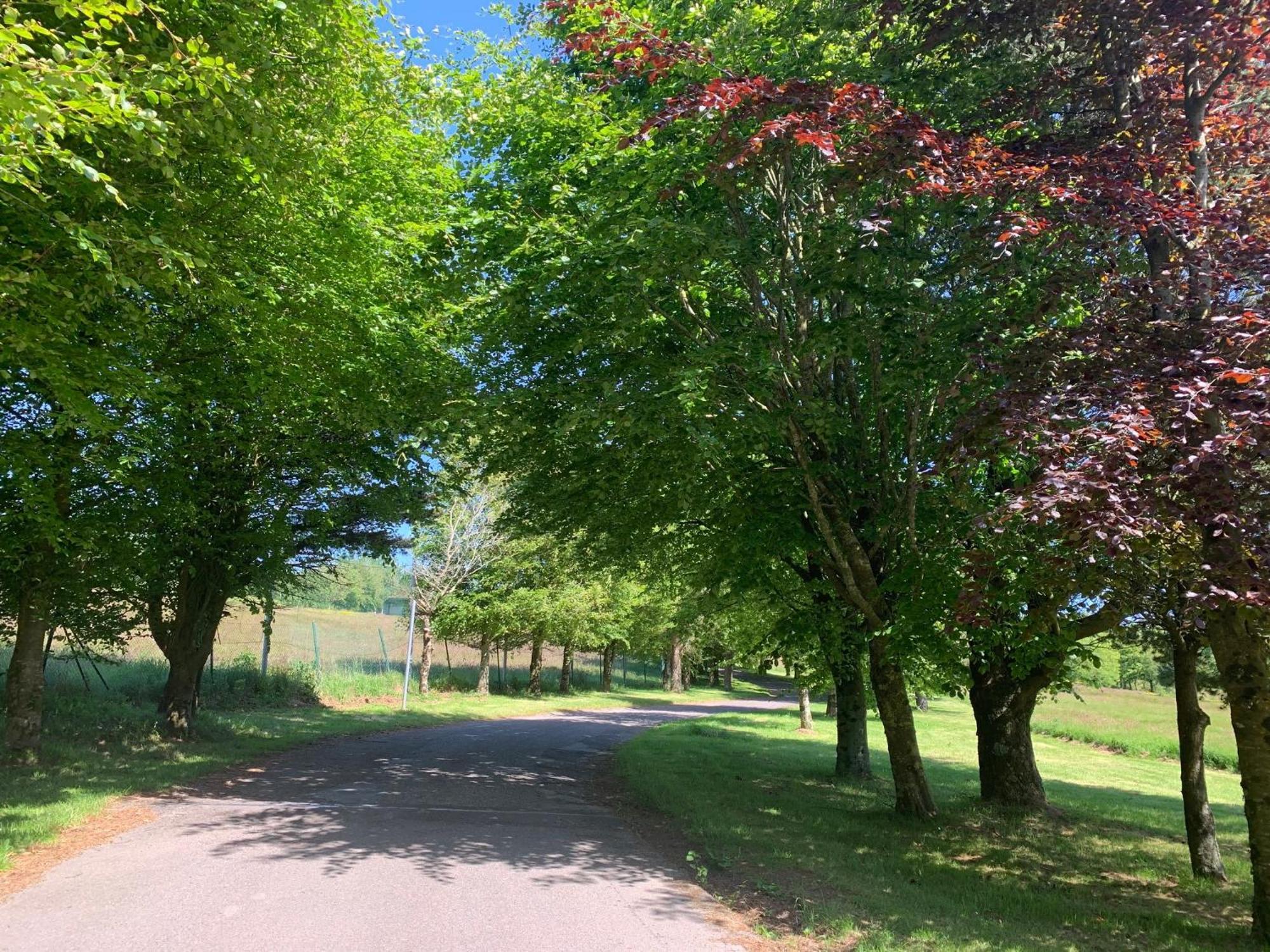 Fernhill Lodge Carrigaline Exteriör bild